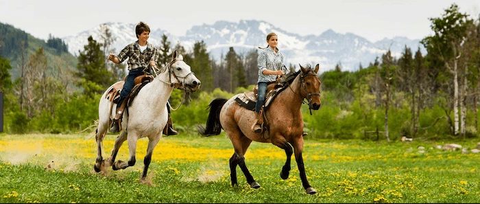 Confident plus-size woman riding Leicester a horse through a field with a smile on her face.